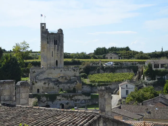 Village de Saint-Émilion et ses vignes
